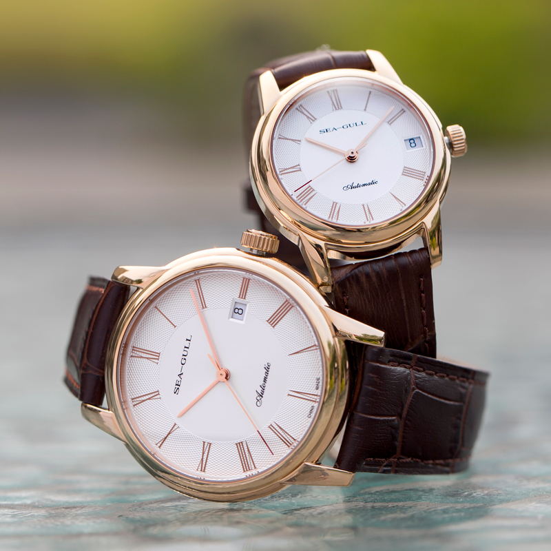Seagull Men's Mechanical Watch - Seiko Watch Presage recension och pris